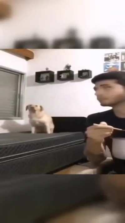 Doge