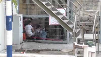 Mass children arrests in the occupied Palestinian territories by the terrorist military organisation IDF, the children were put in small cages on top of each other before being taken to detention, were they might stay there for years. Source: B'Tselem (Is