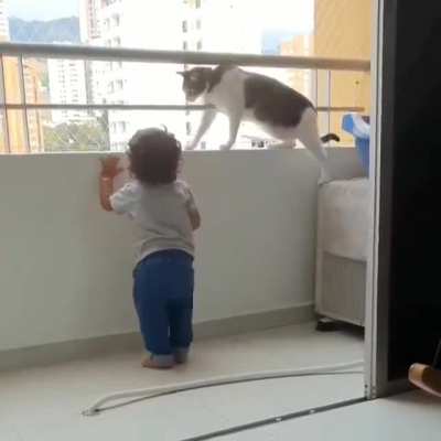 Cat is very worried for the kid
