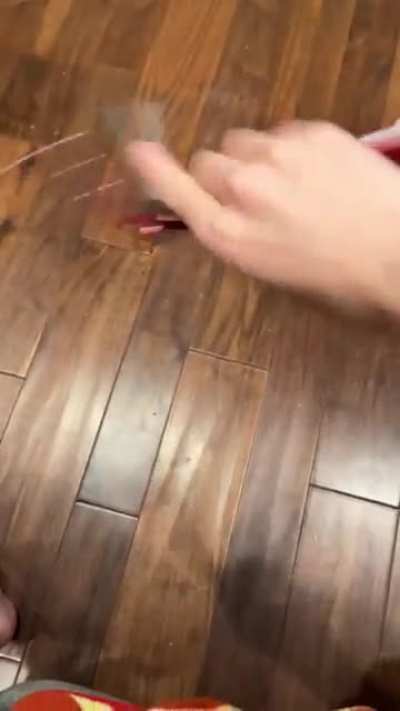 That could have been my foot. It wasn't, but it could have been.