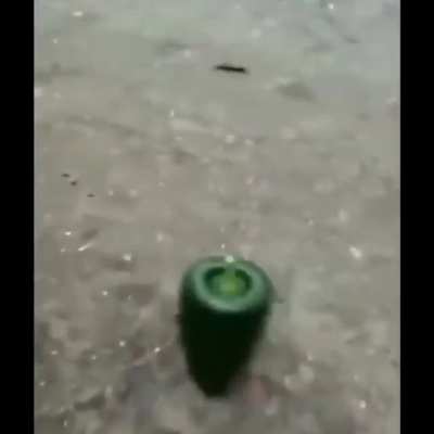 🌪️