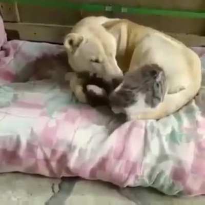 I choose... This spot