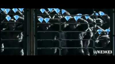 Apes: Watch This Before the Market Opens Each Day 🦍🙌💎💎