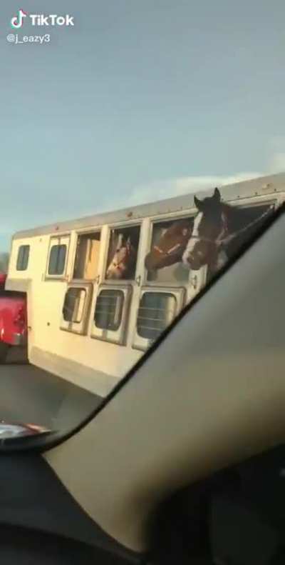 Doomslayer's horse headbanging