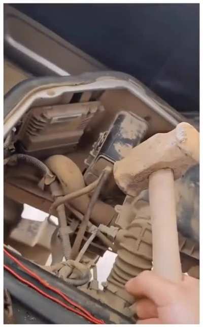 Moldy car