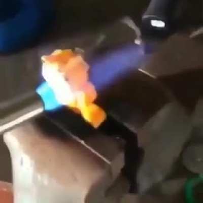 lasagnae