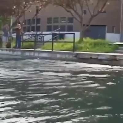 Testing new tricks by the river