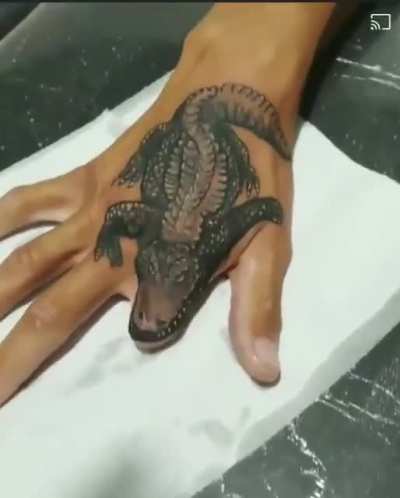 🐊