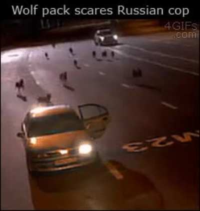 Эти смеша<wbr>нные чувст<wbr>ва...