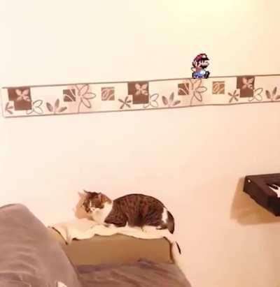 Mario escapes the TV
