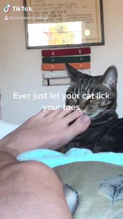 Cookie is like that