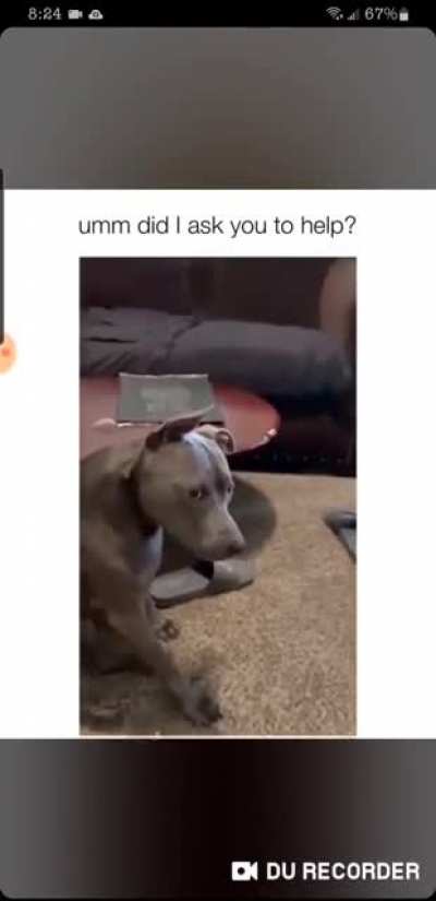 Excuse me?