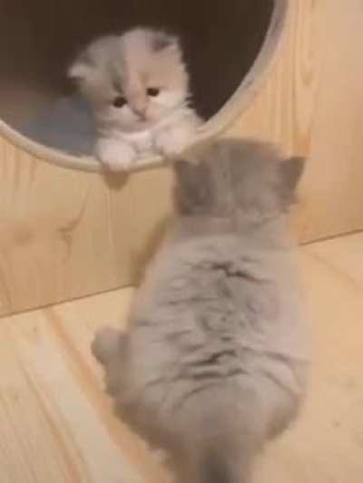 Perimeter protection system failed