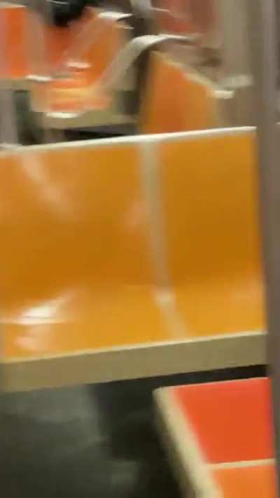 On very lucky nights, you get private performances on the MTA.