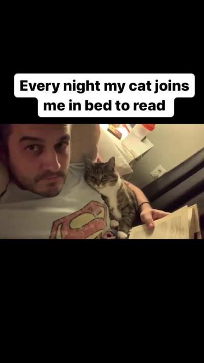 cat that is actually being sweet