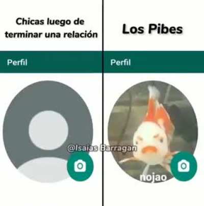 Fotos de perfil: