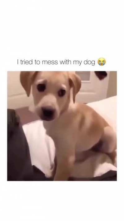 tried but failed