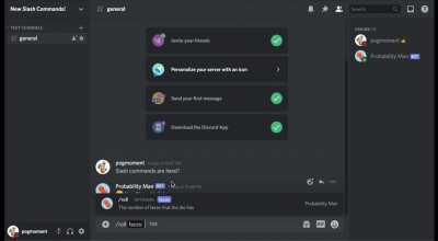 We can now make custom slash commands using bots!!
