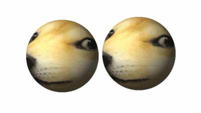Doge telling facts