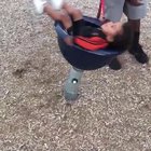 To walk