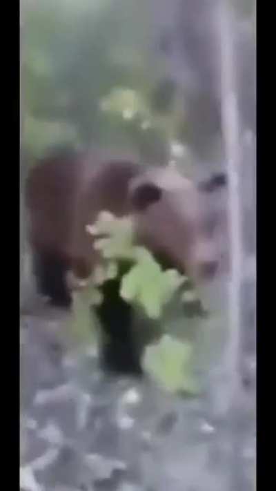 Crazy Fazbear 