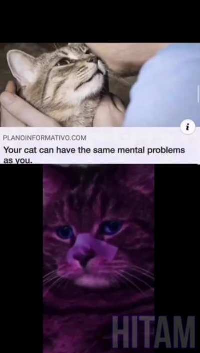 She doesn't deserve me