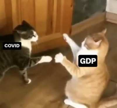 Covid effect to the Indian economy