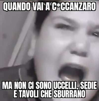 Sedie