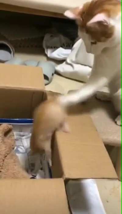 Maybe maybe maybe