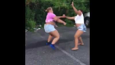 drop that bitch