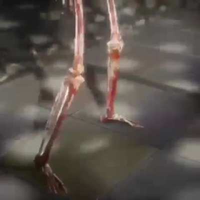 Skeleton Dancing