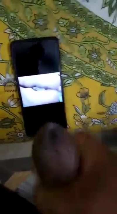 An Interesting Day