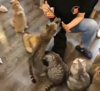 “Give me Please! i'am over here”