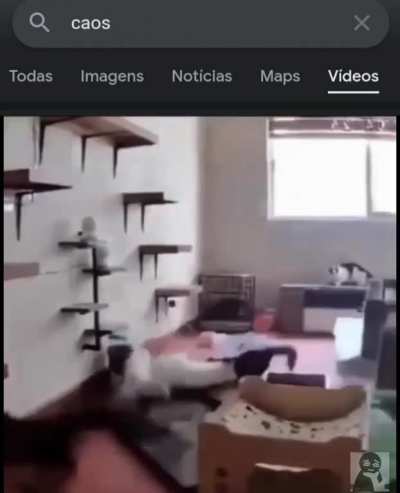 Google sobre caos. edit by M.A, eu mesmo