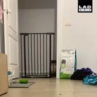How does he do it ?