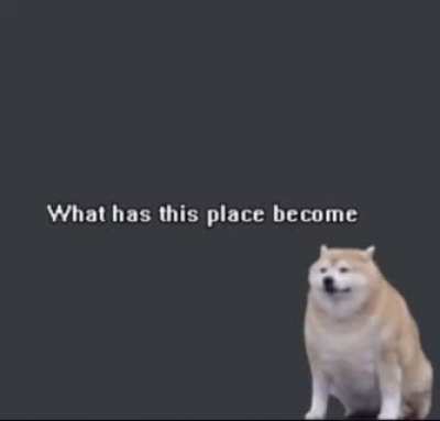 [I dont want more shittingtoothpaste :(] Rule