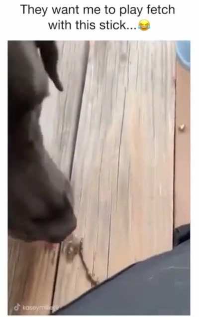 that's a big stick