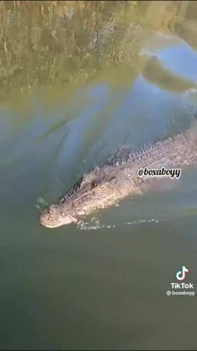 Florida man go Hmmmmm.....