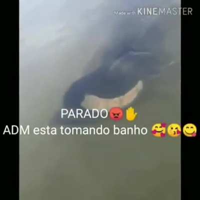 Silêncio 😡😠✋✋🏽<wbr>✋🏽 o adm esta dormindo 🥱🥱