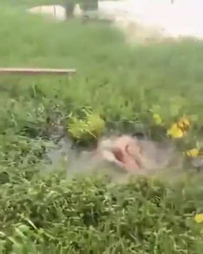 Well good place to do the job
