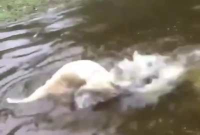 Fishing with the dog