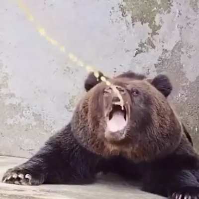 Danger.mp4
