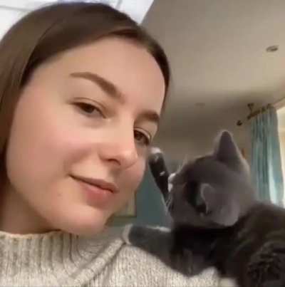 Smol cat petting his Hooman!