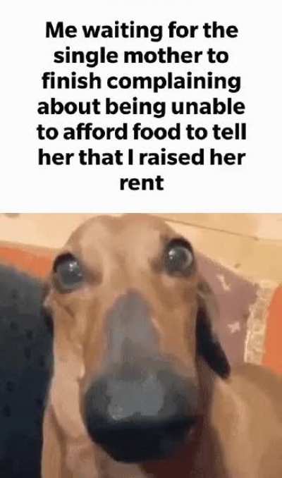 Rule