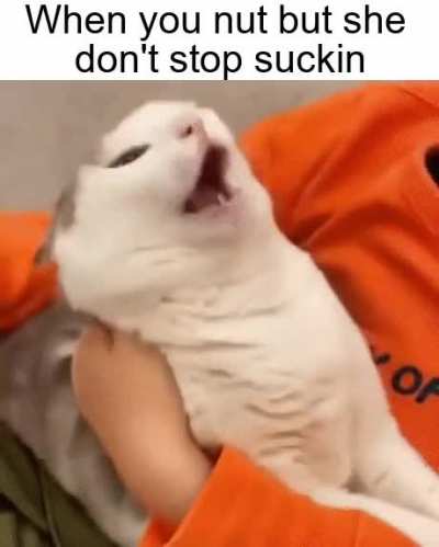 she know