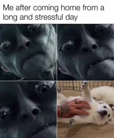 Cuteness Attack
