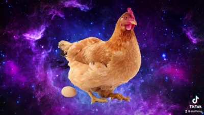 Dwayne Johnson eats 12 eggs a day?