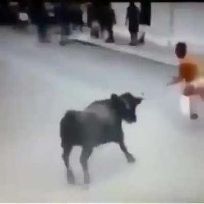 The bull said “I was just playing, but fuck it that’s what you get
