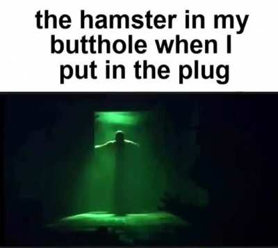 Incredible gassy's hamter