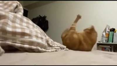 If I can only reach that spot